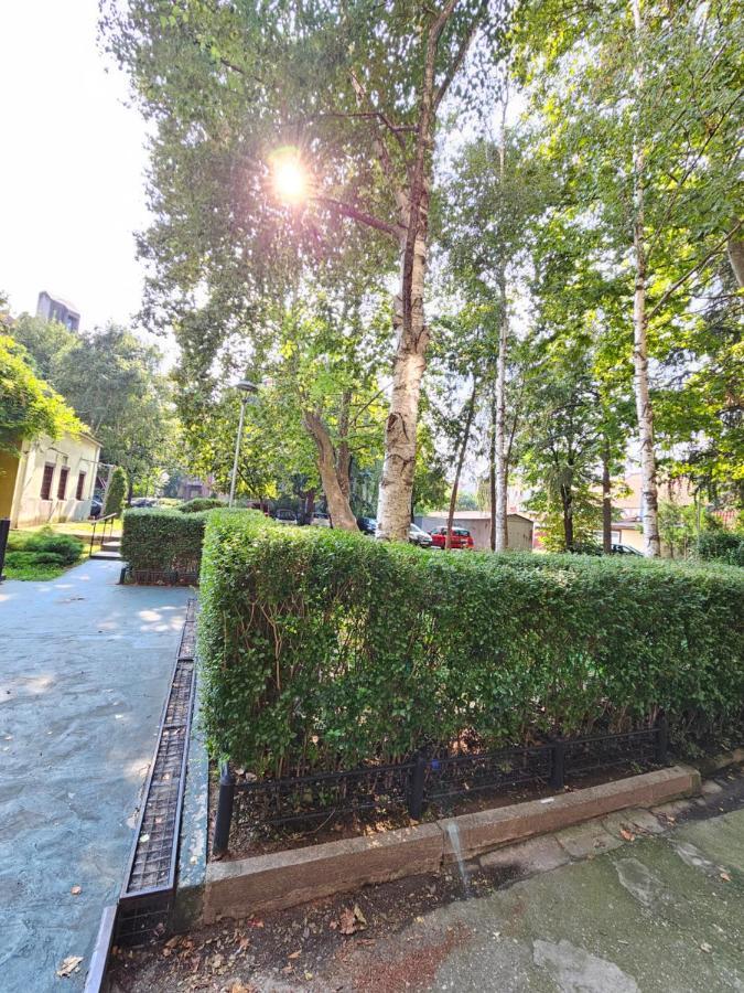 Booking Apartments Alone 1 Belgrado Exterior foto
